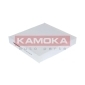 KAMOKA F412701