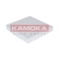 KAMOKA F412701