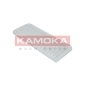 KAMOKA F230401