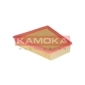 KAMOKA F205101