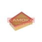 KAMOKA F205101