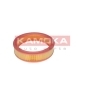 KAMOKA F209301