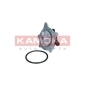 KAMOKA T0318