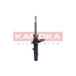 KAMOKA 2000584