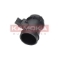 KAMOKA 18008