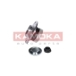 KAMOKA 5500003