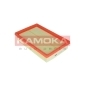 KAMOKA F224301