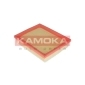 KAMOKA F221901