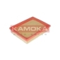 KAMOKA F221901