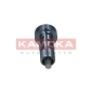 KAMOKA RA072