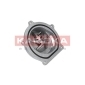 T0145 KAMOKA Водяной насос