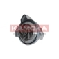 KAMOKA T0275