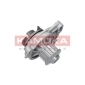 KAMOKA T0275