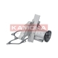 KAMOKA T0134