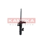 KAMOKA 2000426