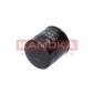 KAMOKA F113101
