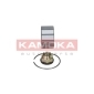 KAMOKA 5600017