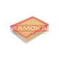 KAMOKA F221101