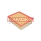 KAMOKA F221101
