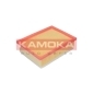 KAMOKA F221101