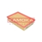 KAMOKA F204801