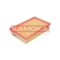 KAMOKA F204801