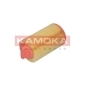 KAMOKA F214101