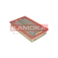 F205001 KAMOKA Фильтр