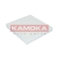 F411501 KAMOKA Фильтр