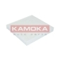 KAMOKA F411501