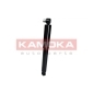 2000079 KAMOKA Амортизатор
