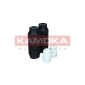 KAMOKA 2019134