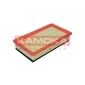 F218001 KAMOKA Фильтр