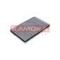 F503101 KAMOKA Фильтр