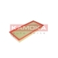 F219901 KAMOKA Фильтр