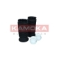 KAMOKA 2019227