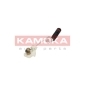 105066 KAMOKA Контакт