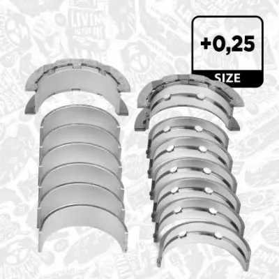LH003825 Crankshaft Bearing Set
