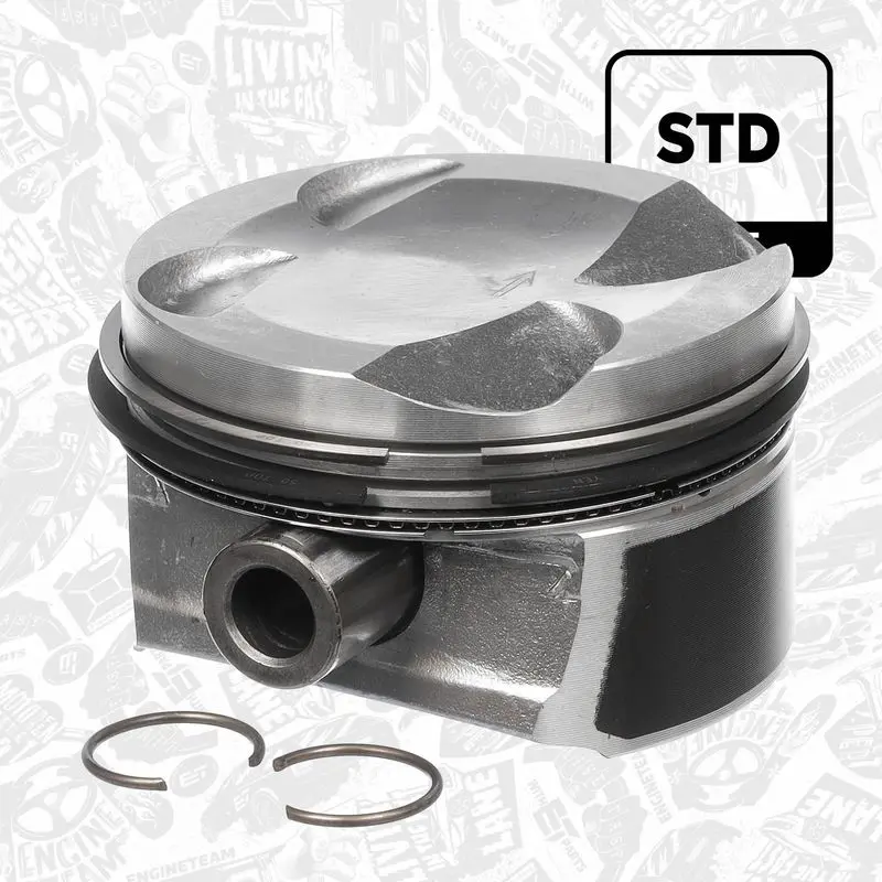 PM011000 Piston