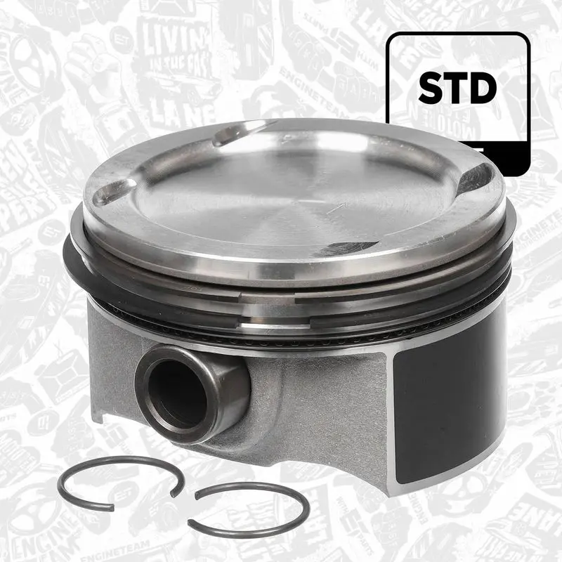 PM014500 Piston