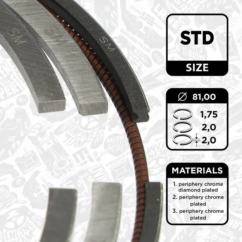R1014500 Piston Ring Kit