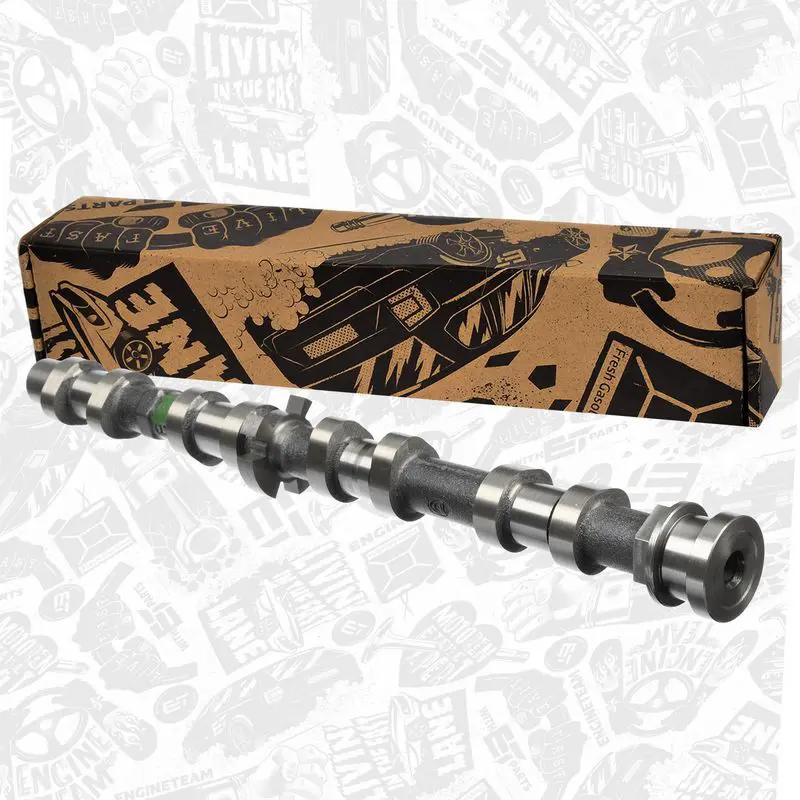 HV0409 Camshaft