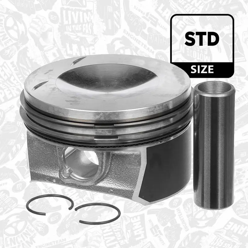 PM008700 Piston
