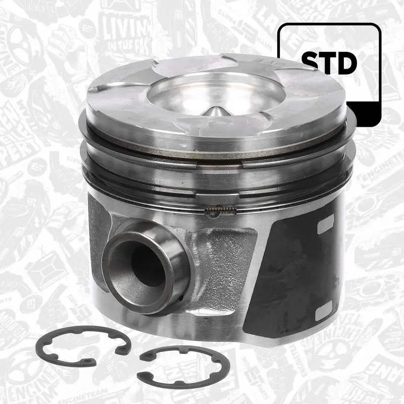 PM008900 Piston
