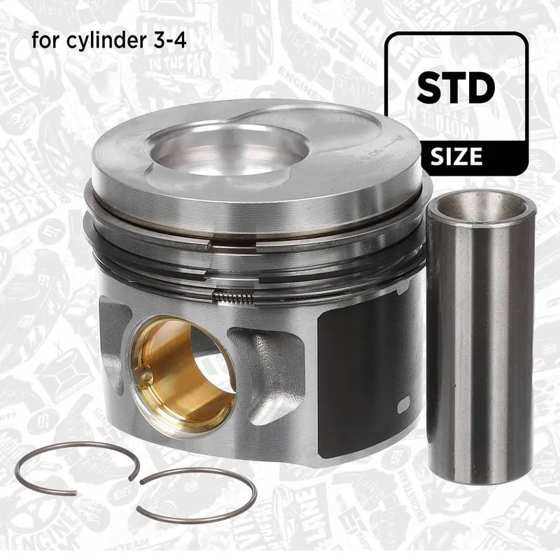 PM009600 Piston