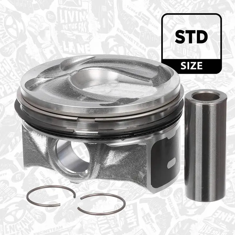 PM010000 Piston