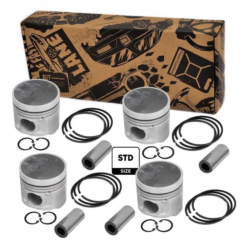 PM010100VR1 Piston Set