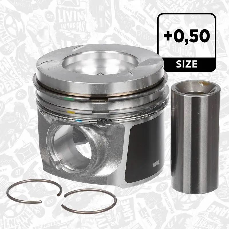 PM010650 Piston