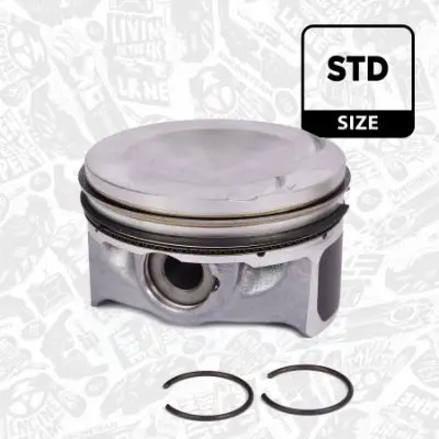 PM010700 Piston