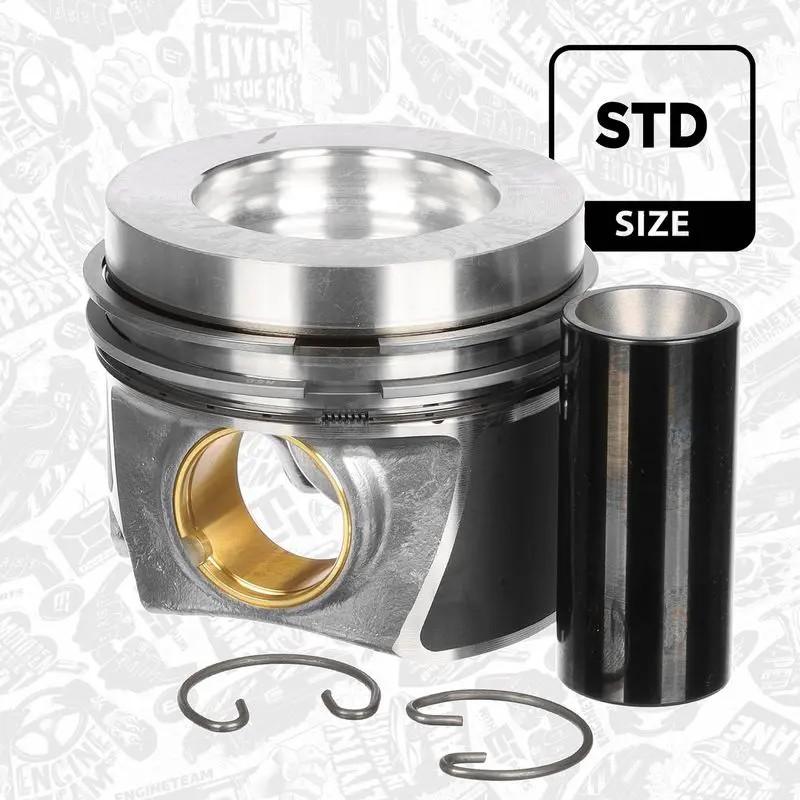 PM014900 Piston